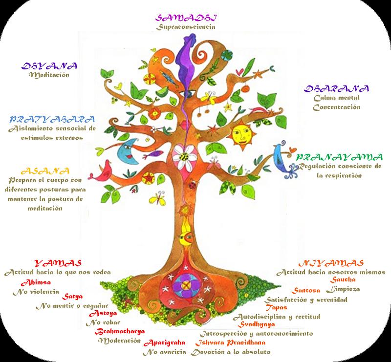 Las ocho ramas del ashtanga yoga, tal y como las describe Patanjali en sus yoga sutras.